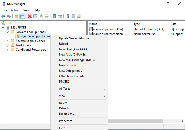 LayerStack - How to set up DNS Server on Windows Cloud Servers